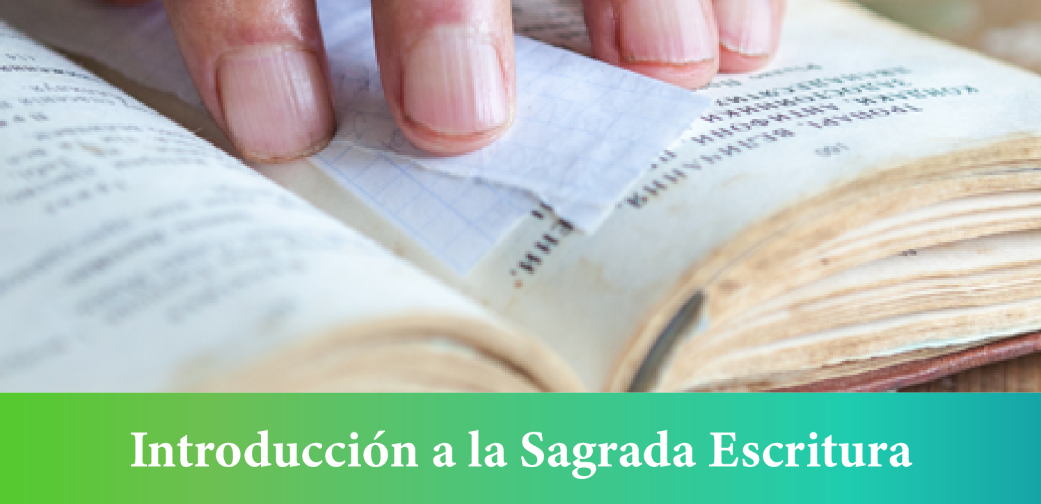 Introducción a la Sagrada Escritura